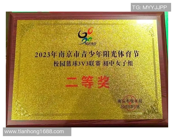 南京篮球队在全国锦标赛中的团队协作表现分析与点评 南京篮球队在全国锦标赛中的团队协作表现分析与点评