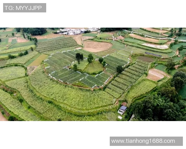 成都网球队的蜕变与成长:从传统到现代的网球纪实之旅 成都网球队的蜕变与成长:从传统到现代的网球纪实之旅