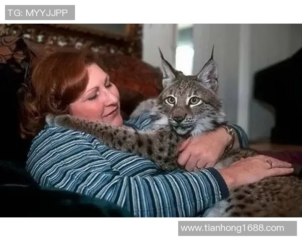 足球明星意外瞬间集锦精彩视频盘点让你大开眼界的搞笑时刻