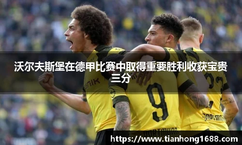 沃尔夫斯堡在德甲比赛中取得重要胜利收获宝贵三分